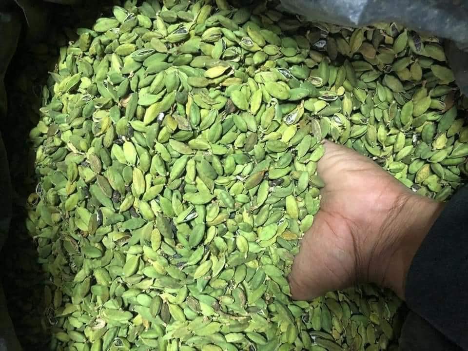 Cardamom Green High Quality Cardamom Factory Price Dried 